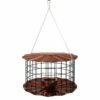 Caged Bluebird Feeder, Copper Colored 2 Caged Bluebird Feeder, Copper Colored -US Poultry Supplies Sales Store caged copper colored bluebird feeder 50 01 75 00 bird feeders erva tool die birdhousesandbaths 115