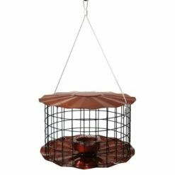 Caged Bluebird Feeder, Copper Colored