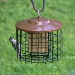 Caged Double Suet Feeder, Brown 7 Caged Double Suet Feeder, Brown -US Poultry Supplies Sales Store caged double suet feeder brown 25 01 50 00 bird feeders stokes select birdhousesandbaths 276