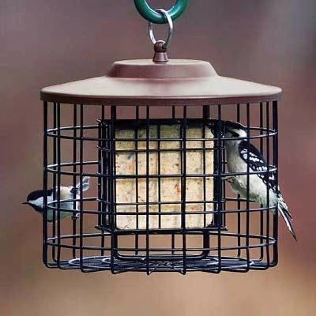 Caged Double Suet Feeder, Brown 3 Caged Double Suet Feeder, Brown
