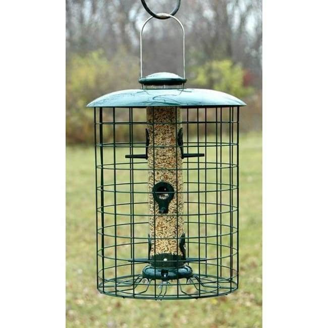 Caged Seed Tube Bird Feeder 3 Caged Seed Tube Bird Feeder