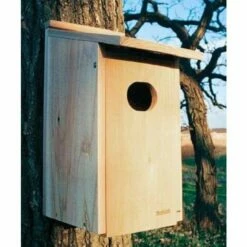 Cedar Duck House