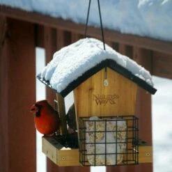 Cedar Hopper Bird Feeder With Suet Cages, Small 9 Cedar Hopper Bird Feeder With Suet Cages, Small -US Poultry Supplies Sales Store cedar hopper bird feeder suet cages small 25 01 50 00 feeders natures birdhousesandbaths 937