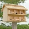 Purple Martin House With Crescent Entrance Holes - 12 Rooms 2 Purple Martin House With Crescent Entrance Holes - 12 Rooms -US Poultry Supplies Sales Store cedar purple martin house w crescent entrance holes 125 01 150 00 bird heath mfg birdhousesandbaths 640