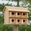 Purple Martin House With Round Entrance Holes - 12 Rooms 2 Purple Martin House With Round Entrance Holes - 12 Rooms -US Poultry Supplies Sales Store cedar purple martin house w round entrance holes 125 01 150 00 bird heath mfg birdhousesandbaths 636