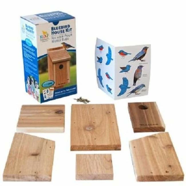 Classic Bluebird House DIY Craft Kit 3 Classic Bluebird House DIY Craft Kit