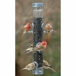 Droll Yankees A-6RP Ring Pull Bird Feeder