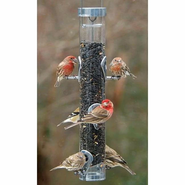 Droll Yankees A-6RP Ring Pull Bird Feeder 3 Droll Yankees A-6RP Ring Pull Bird Feeder