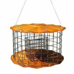 Caged Double Suet Feeder, Copper Colored