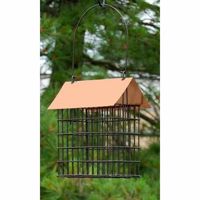 Coppertop Double Suet Cage Feeder 3 Coppertop Double Suet Cage Feeder