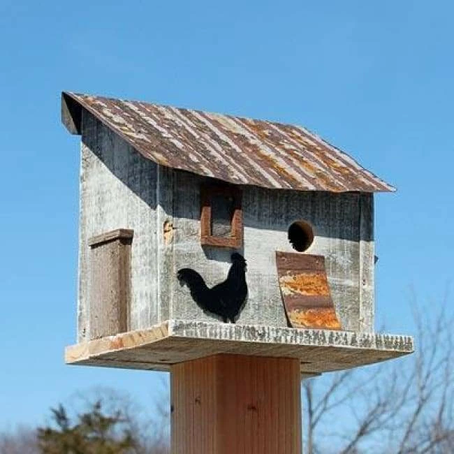 Cumberland Chicken Coop Bird House 5 Cumberland Chicken Coop Bird House - Image 3