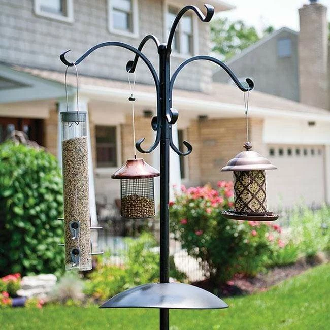 Deluxe Bird Feeding Station Kit 4 Deluxe Bird Feeding Station Kit - Image 2