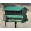 Double Sided Absolute II Bird Feeder With Pole & Hanger 1 Double Sided Absolute II Bird Feeder With Pole & Hanger -US Poultry Supplies Sales Store double sided absolute ii bird feeder pole hanger 50 01 75 00 feeders heritage farms birdhousesandbaths 122