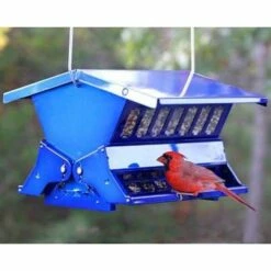 Double Sided Absolute II Squirrel Resistant Bird Feeder