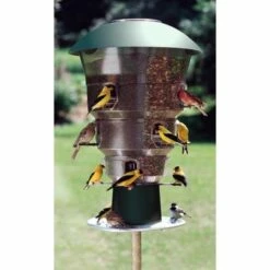 Electronic Squirrel Proof 12 Port Bird Feeder