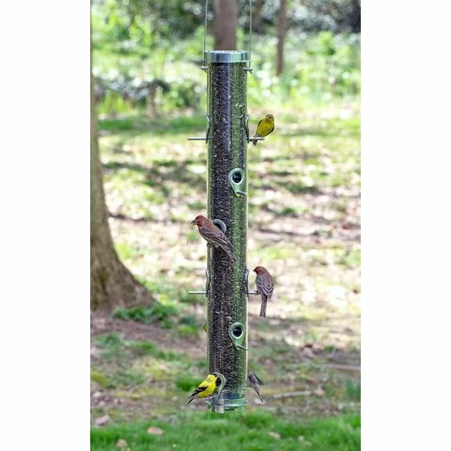 Droll Yankees Executive B-7 Bird Feeder 6 Droll Yankees Executive B-7 Bird Feeder - Image 4