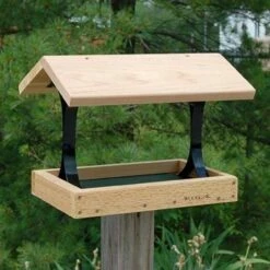 Fly Thru Platform Bird Feeder
