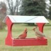 Going Green Fly Through Bird Feeder, Red 2 Going Green Fly Through Bird Feeder, Red -US Poultry Supplies Sales Store green fly bird feeder red 25 01 50 00 feeders woodlink birdhousesandbaths 842