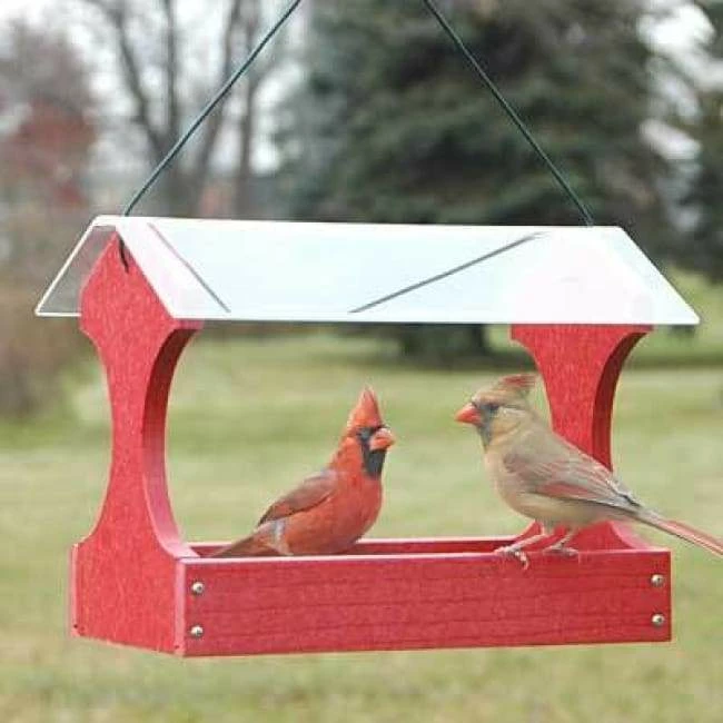 Going Green Fly Through Bird Feeder, Red 3 Going Green Fly Through Bird Feeder, Red