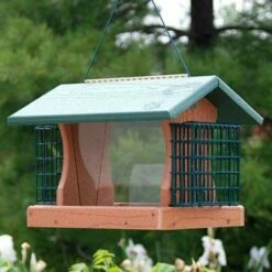 Going Green Premier Bird Feeder With Suet Cages