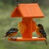 Going Green Recycled Plastic Oriole Fruit Feeder 1 Going Green Recycled Plastic Oriole Fruit Feeder -US Poultry Supplies Sales Store green recycled plastic oriole fruit feeder 25 01 50 00 bird feeders woodlink birdhousesandbaths 710