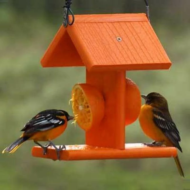 Going Green Recycled Plastic Oriole Fruit Feeder 3 Going Green Recycled Plastic Oriole Fruit Feeder
