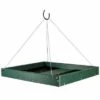Hanging Platform Green Bird Feeder, Large 1 Hanging Platform Green Bird Feeder, Large -US Poultry Supplies Sales Store hanging platform green bird feeder large 25 01 50 00 feeders songbird essentials birdhousesandbaths 902