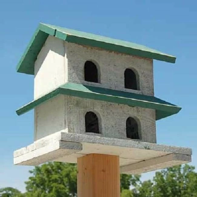 Hanover Purple Martin House With 4-Rooms 3 Hanover Purple Martin House With 4-Rooms