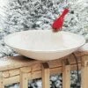 Heated Bird Bath With Deck Mount 2 Heated Bird Bath With Deck Mount -US Poultry Supplies Sales Store heated bird bath deck mount 50 01 75 00 baths allied precision birdhousesandbaths 639