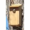 Kestrel And Screech Owl House 1 Kestrel And Screech Owl House -US Poultry Supplies Sales Store kestrel screech owl house 50 01 75 00 bird woodlink birdhousesandbaths 751
