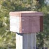 Post Cap 2 Post Cap -US Poultry Supplies Sales Store looker products post cap 00 01 25 bird feeders birdhousesandbaths 832