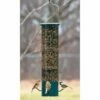 Magnet Squirrel Resistant Bird Feeder 2 Magnet Squirrel Resistant Bird Feeder -US Poultry Supplies Sales Store magnet squirrel resistant bird feeder 25 01 50 00 feeders heritage farms birdhousesandbaths 944