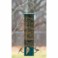 Magnet Squirrel Resistant Bird Feeder