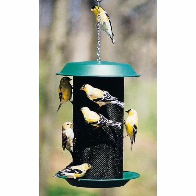 Magnum Thistle Seed Bird Feeder 3 Magnum Thistle Seed Bird Feeder