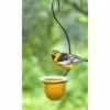 Mandarin Recycled Glass Oriole Feeder, Medium 2 Mandarin Recycled Glass Oriole Feeder, Medium -US Poultry Supplies Sales Store mandarin recycled glass oriole feeder medium 00 01 25 bird feeders parasol birdhousesandbaths 147