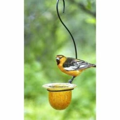 Mandarin Recycled Glass Oriole Feeder, Medium