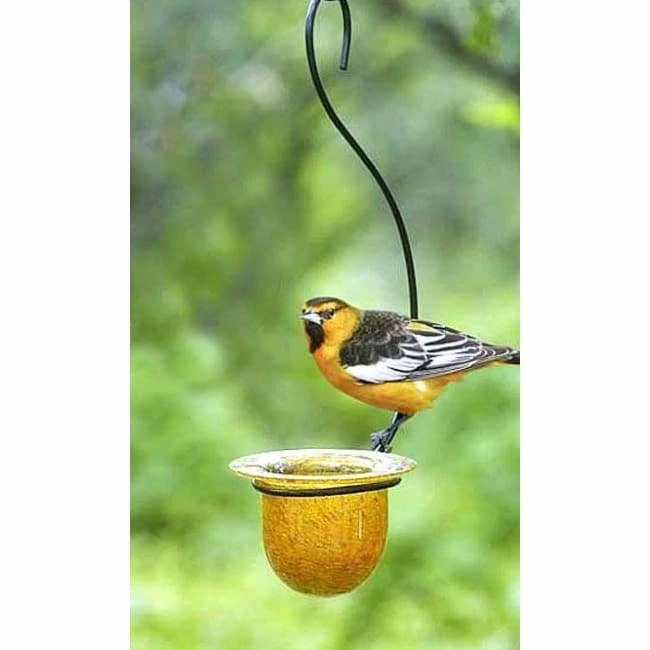 Mandarin Recycled Glass Oriole Feeder, Medium 3 Mandarin Recycled Glass Oriole Feeder, Medium