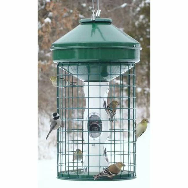 Mixed Seed Caged Bird Feeder 3 Mixed Seed Caged Bird Feeder