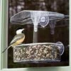 Observer Window Bird Feeder 2 Observer Window Bird Feeder -US Poultry Supplies Sales Store observer window bird feeder 00 01 25 feeders droll yankees birdhousesandbaths 651