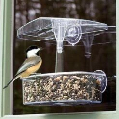 Observer Window Bird Feeder