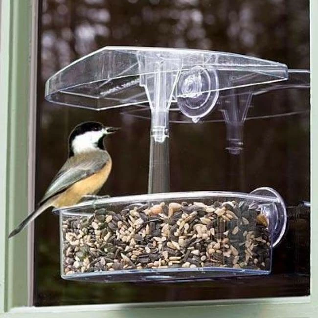 Observer Window Bird Feeder 2 Observer Window Bird Feeder