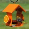 Orange Metal Six Station Oriole Feeder 1 Orange Metal Six Station Oriole Feeder -US Poultry Supplies Sales Store orange metal six station oriole feeder 00 01 25 bird feeders woodlink birdhousesandbaths 770