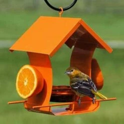 Orange Metal Six Station Oriole Feeder