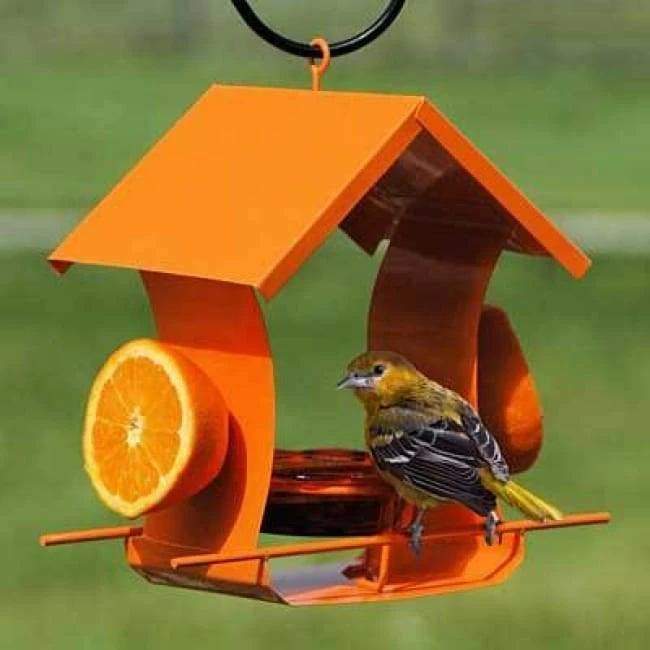 Orange Metal Six Station Oriole Feeder 3 Orange Metal Six Station Oriole Feeder
