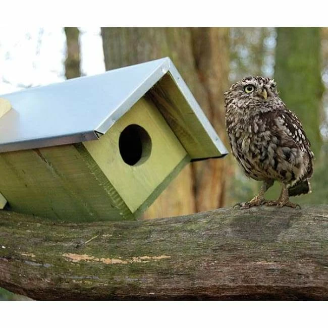 ESSCHERT DESIGN Owl Or Kestrel Extended Horizontal House 5 ESSCHERT DESIGN Owl Or Kestrel Extended Horizontal House - Image 3