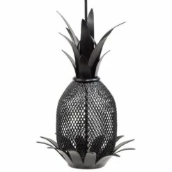 Pineapple Bird Feeder