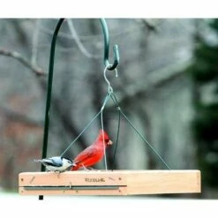 3 In 1 Platform Bird Feeder 9 3 In 1 Platform Bird Feeder -US Poultry Supplies Sales Store platform bird feeder 25 01 50 00 feeders woodlink birdhousesandbaths 991
