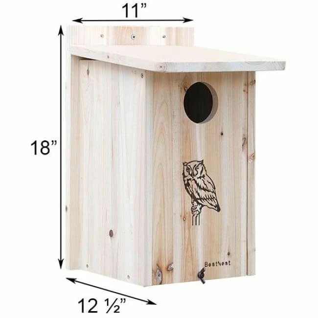 Premium Screech Owl Or Kestrel House 4 Premium Screech Owl Or Kestrel House - Image 2