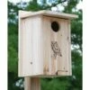 Premium Screech Owl Or Kestrel House 2 Premium Screech Owl Or Kestrel House -US Poultry Supplies Sales Store premium screech owl house kestrel 25 01 50 00 bird bestnest birdhousesandbaths 969