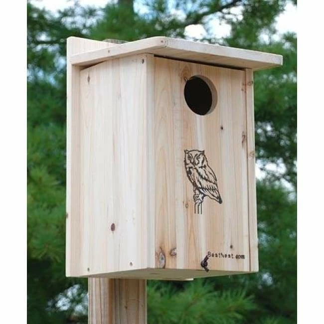 Premium Screech Owl Or Kestrel House 3 Premium Screech Owl Or Kestrel House
